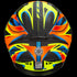 Casco Amatista Fenix Nar/Ama/azul Hax